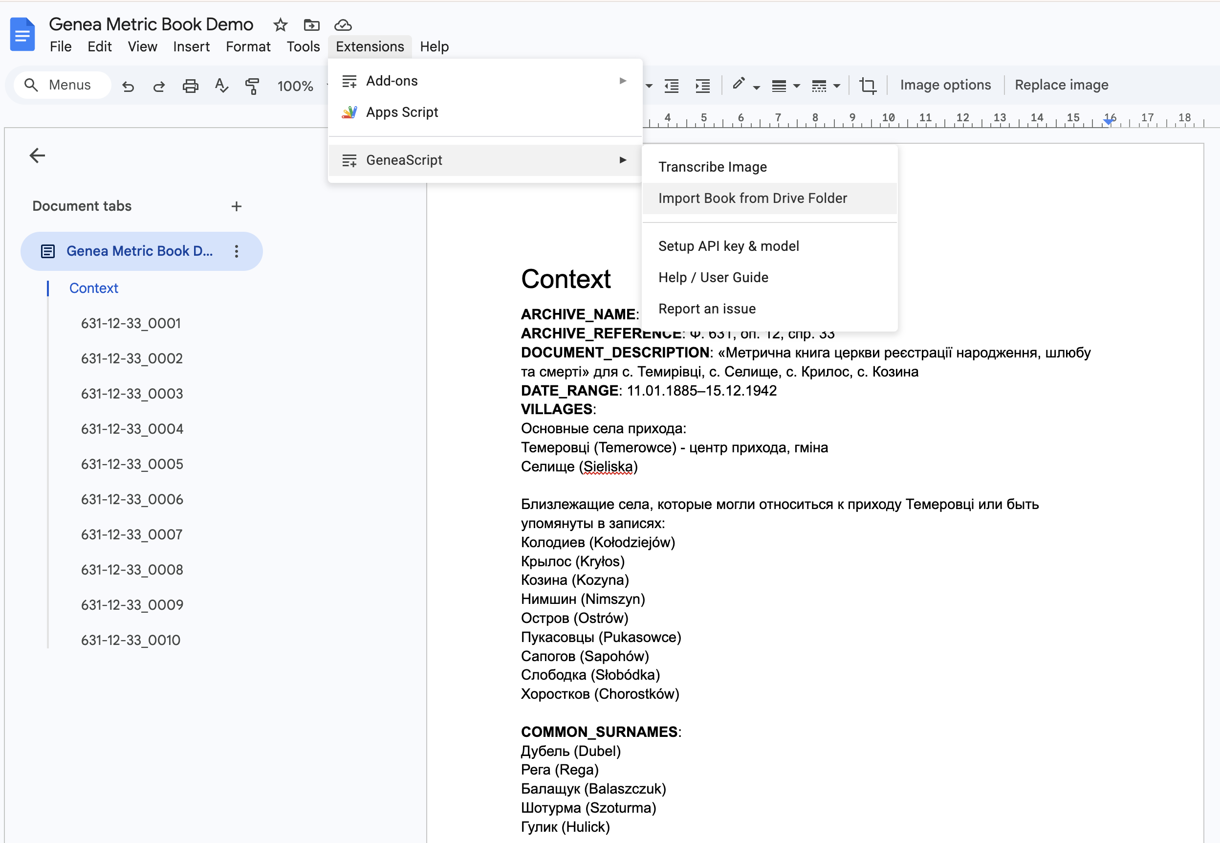 Metric Book Transcriber menu items — Transcribe Image, Import Book from Drive Folder, Setup API key & model, Help, Report issue